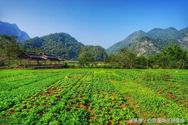 坝美世外桃源简介,坝美世外桃源旅游怎么样