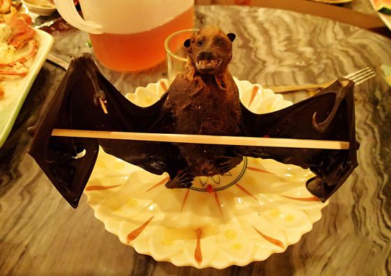 从前爱上帕劳有九大理由，现在我们给你第十个！