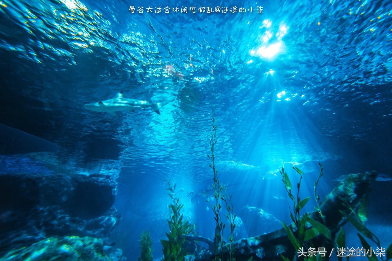 王权免税店买什么品牌化妆品划算,曼谷王权免税怎么买表