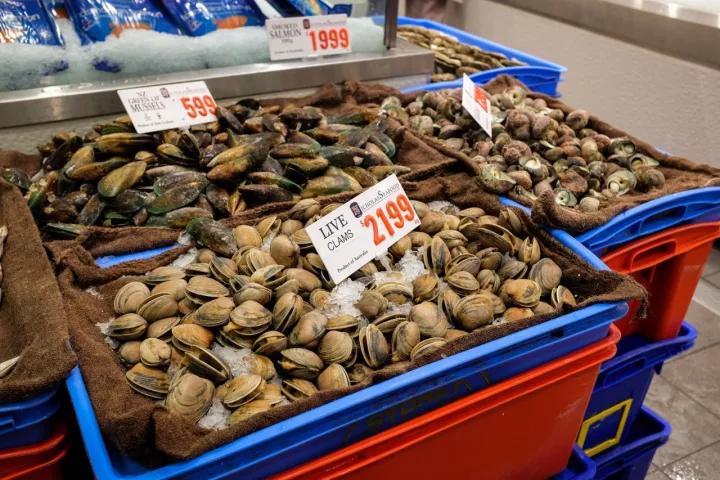 悉尼鱼市场最新消息,澳洲悉尼华人鱼市场