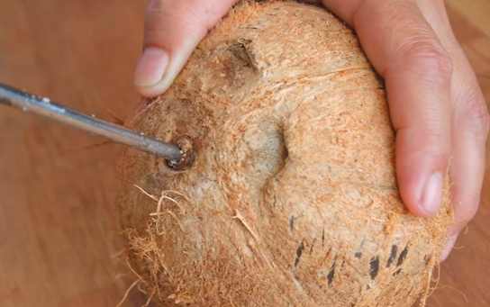 椰子怎么打开最简单方法,椰子怎么打开教学