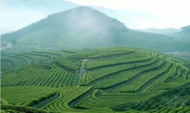 宁波性价比温泉推荐,宁波周边一日游温泉推荐