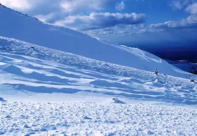 美有很多种自然美才是真正的美,美有很多种分别是什么美