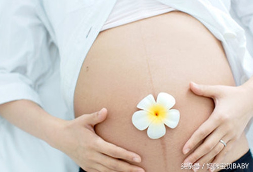 怀孕十七周的胎儿图片,怀孕十七周的胎儿能存活吗