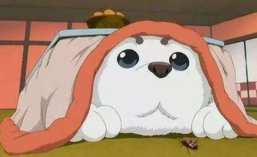 不穿棉衣怎么过冬,不穿秋裤怎么过冬