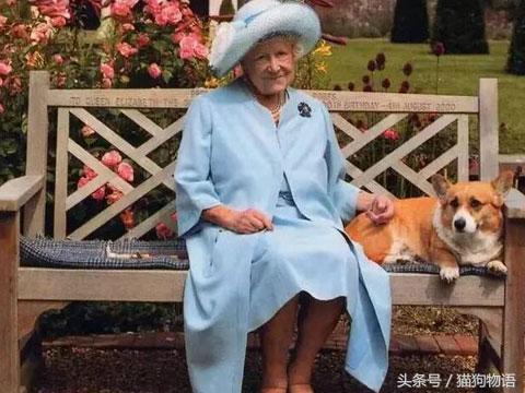 女王最喜欢哪个柯基,女王最喜欢的柯基犬