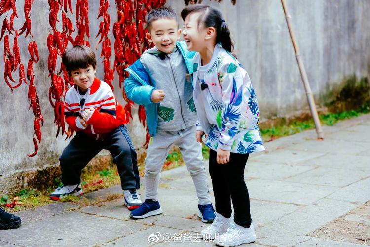 没有豪华阵容，也没有过度炒作，《爸哪5》为什么这么好看？