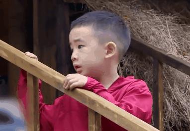 没有豪华阵容，也没有过度炒作，《爸哪5》为什么这么好看？