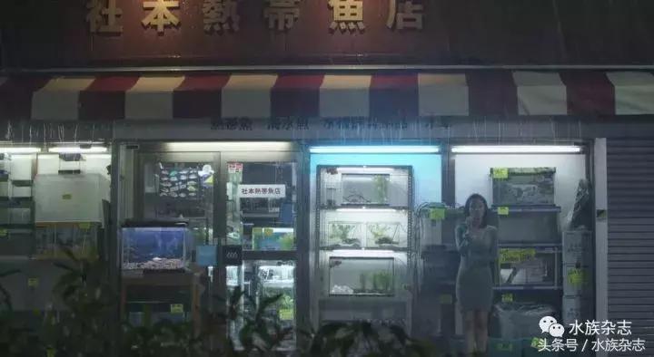 水族电影科幻,水族剧情视频