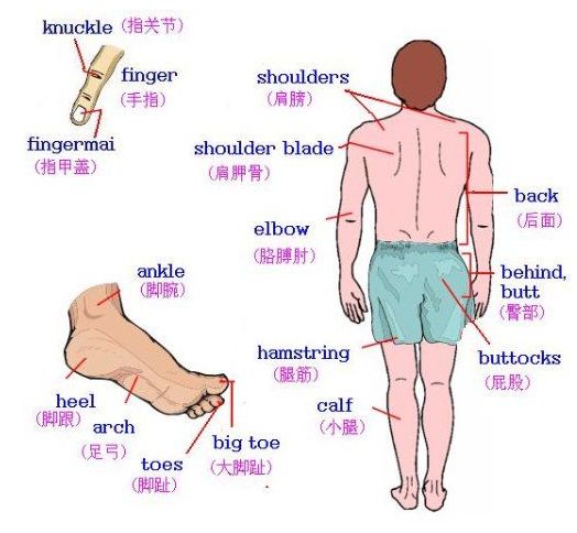 英语单词快速记忆法贾老师,超级老师独创英语单词记忆法