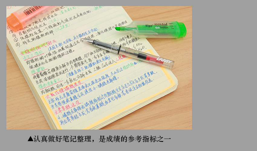 ifa国际芳疗师考试资料,ifa国际芳疗师认证培训机构