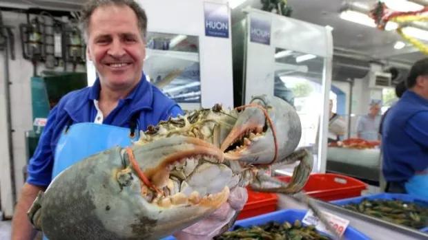 悉尼鱼市场最新消息,澳洲悉尼华人鱼市场