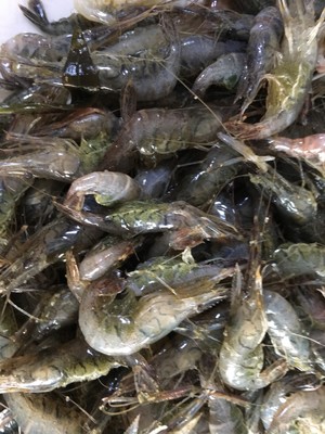 炸河虾又酥又大,干炸酥脆的小河虾