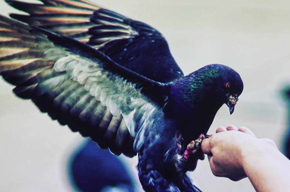 小米投影最新推荐,小米最具性价比的一款投影