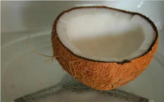 椰子怎么打开最简单方法,椰子怎么打开教学