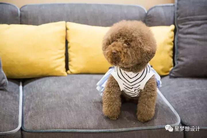 十堰四方新城装修,陌上花开100平装修图