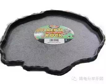 东莞养龟设备,养龟的一套设备大约多少钱