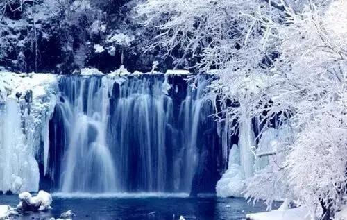 美有很多种自然美才是真正的美,美有很多种分别是什么美