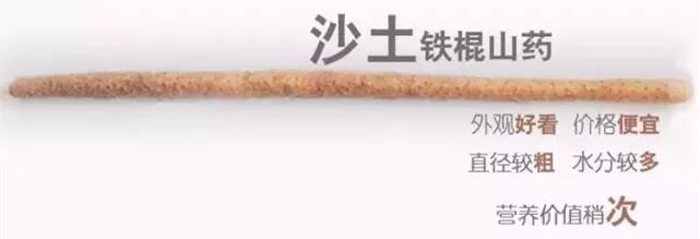 铁棍山药跟什么搭营养最好,铁棍山药怎么吃才有健脾胃的功效