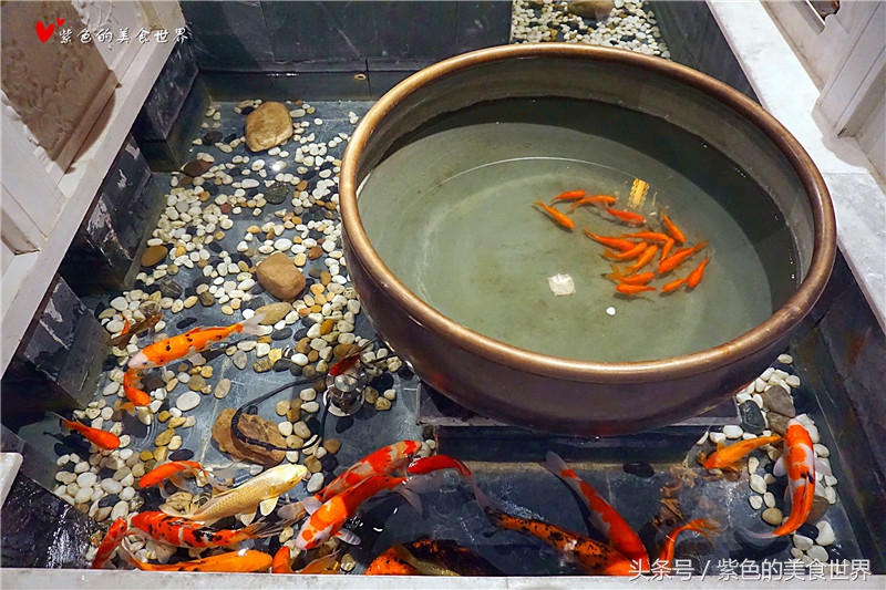 锦府盐帮特色,锦府盐帮啥好吃