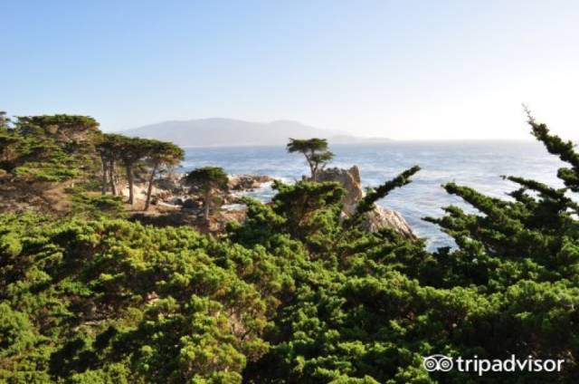 美国旅游自驾好还是坐车好,自驾游去美国去哪个国家最好