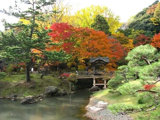 横滨三溪园值得去吗,三溪园景点