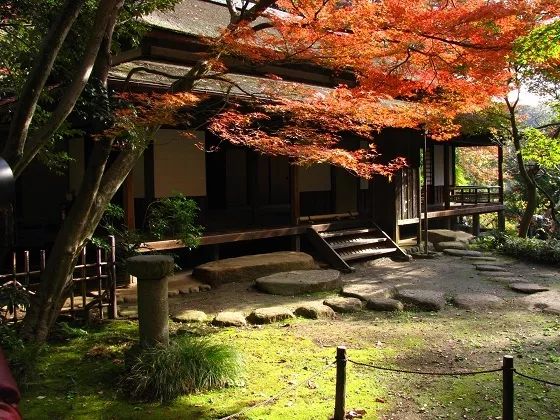 横滨三溪园值得去吗,三溪园景点