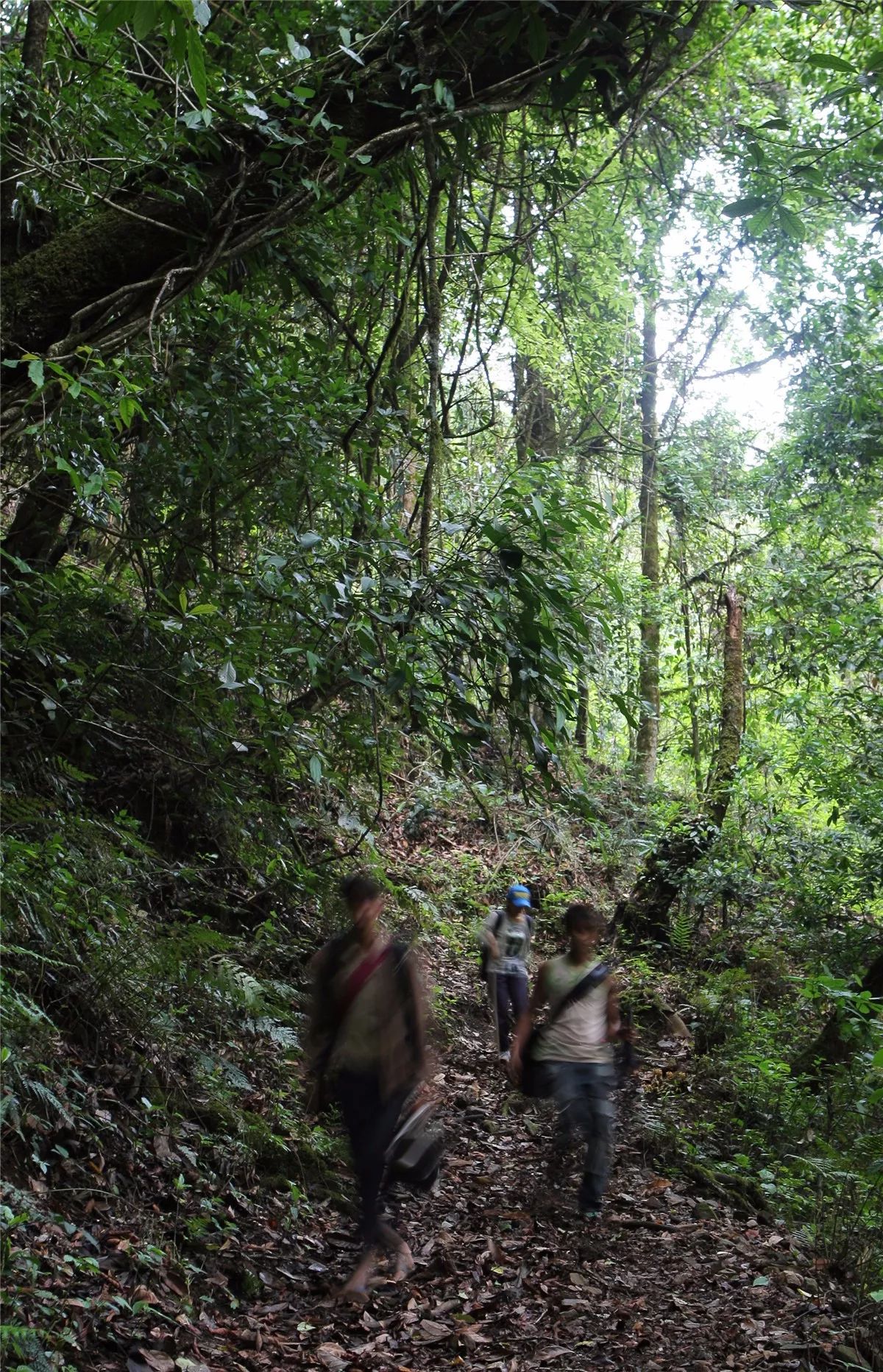 芒市黑河老坡沿途自然风景,芒市苤菜坝和黑河老坡一样吗