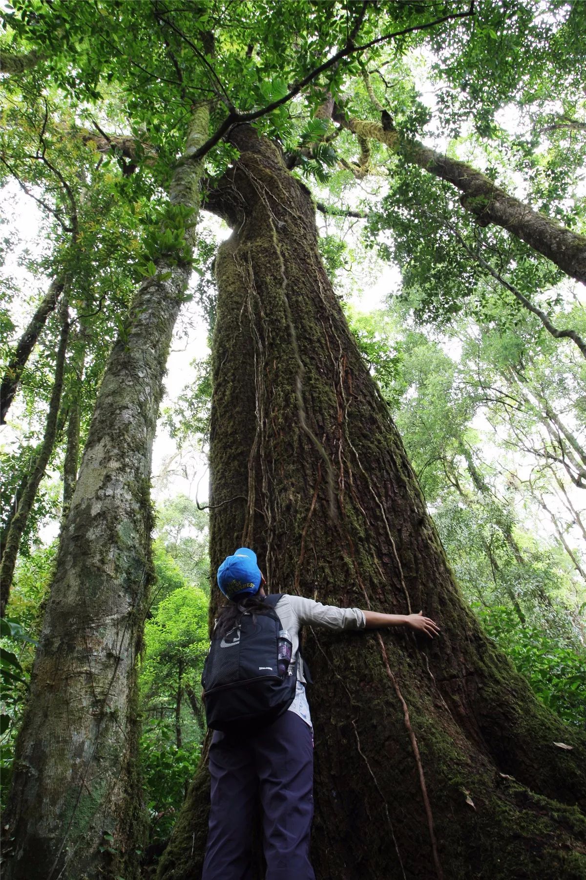 芒市黑河老坡沿途自然风景,芒市苤菜坝和黑河老坡一样吗