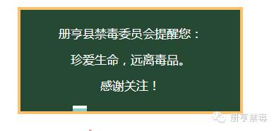 禁毒第十集,禁毒第10期