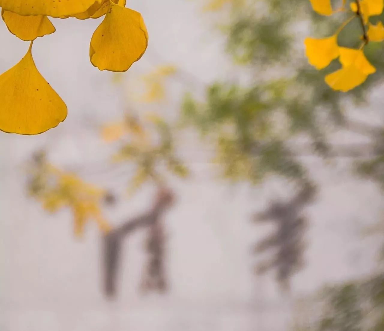 清华大学特奖经历,特奖清华