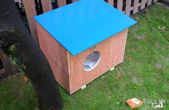 2017温暖继续!感谢CATS慈善基金连续五年为流浪猫提供温暖冬屋!