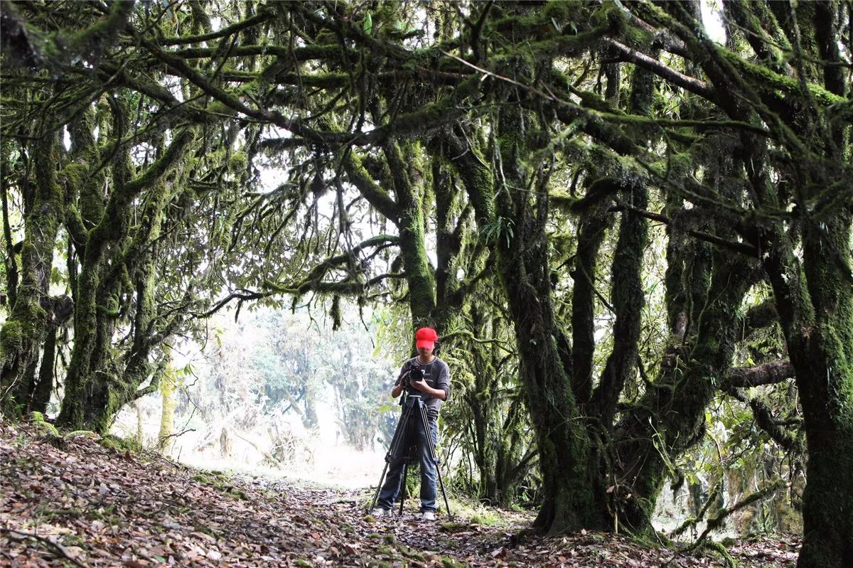 芒市黑河老坡沿途自然风景,芒市苤菜坝和黑河老坡一样吗