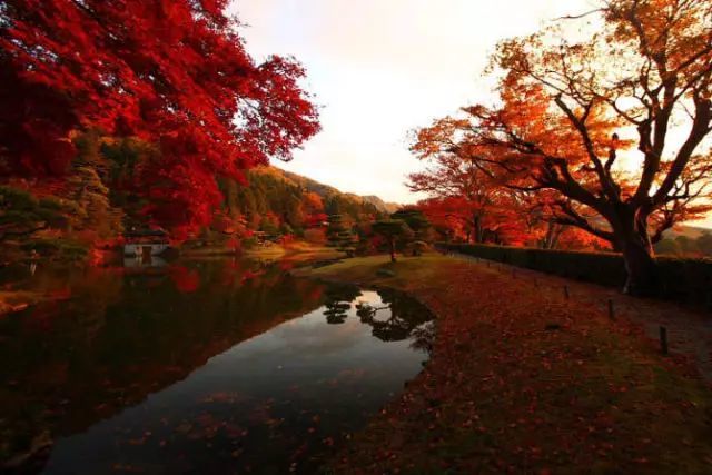 旅游签证办理流程和费用详解,旅游签证办理流程详解
