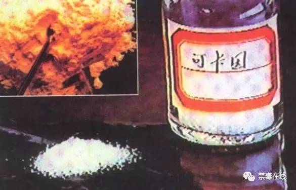 禁毒第十集,禁毒第10期