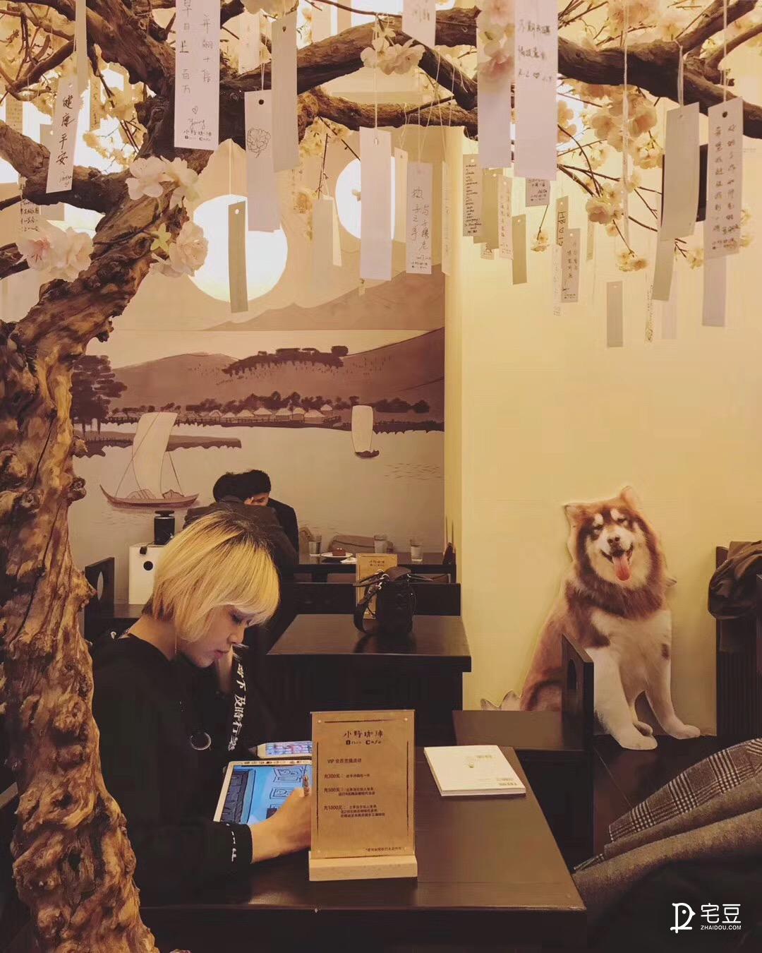 小野妹子昭和风咖啡馆软装全翻新