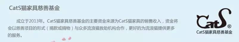 2017温暖继续!感谢CATS慈善基金连续五年为流浪猫提供温暖冬屋!