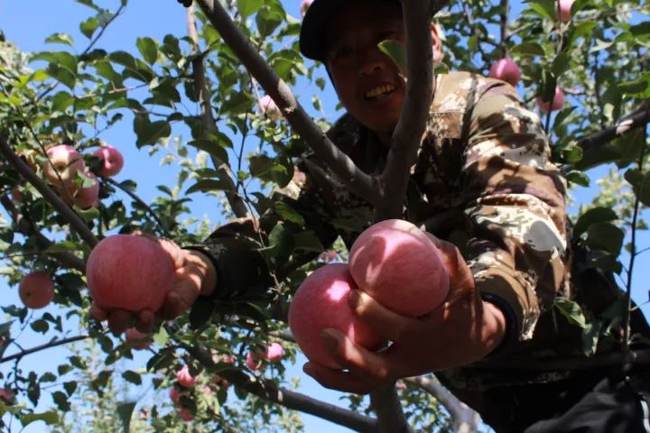 中卫天气预警最新消息实时,中卫市天气冷怎么解决