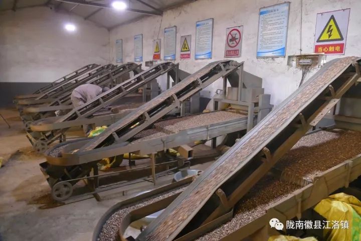 备战双11捡漏,备战双十一出绝招