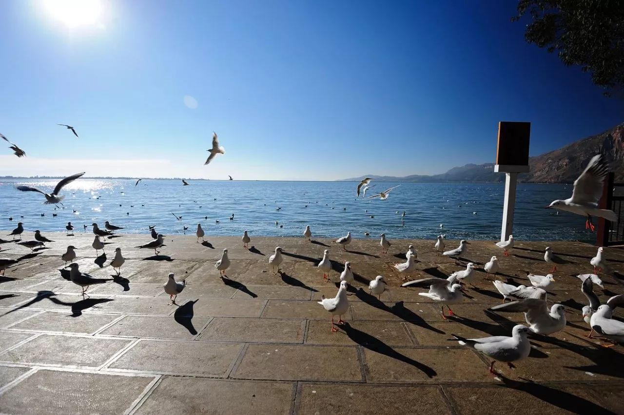 昆明骑行游,昆明骑行一定要去的地方