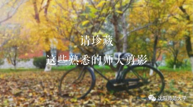 听书明朝那些事儿,听书明朝那些事42