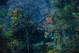 广播文章精选唯美,广播稿精选100字