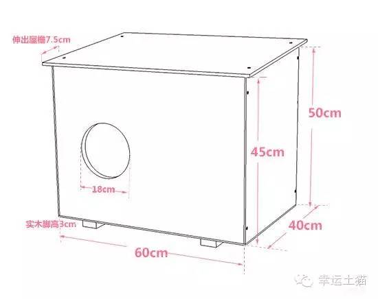 2017温暖继续!感谢CATS慈善基金连续五年为流浪猫提供温暖冬屋!