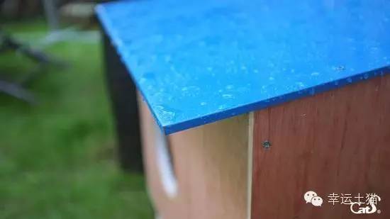 2017温暖继续!感谢CATS慈善基金连续五年为流浪猫提供温暖冬屋!