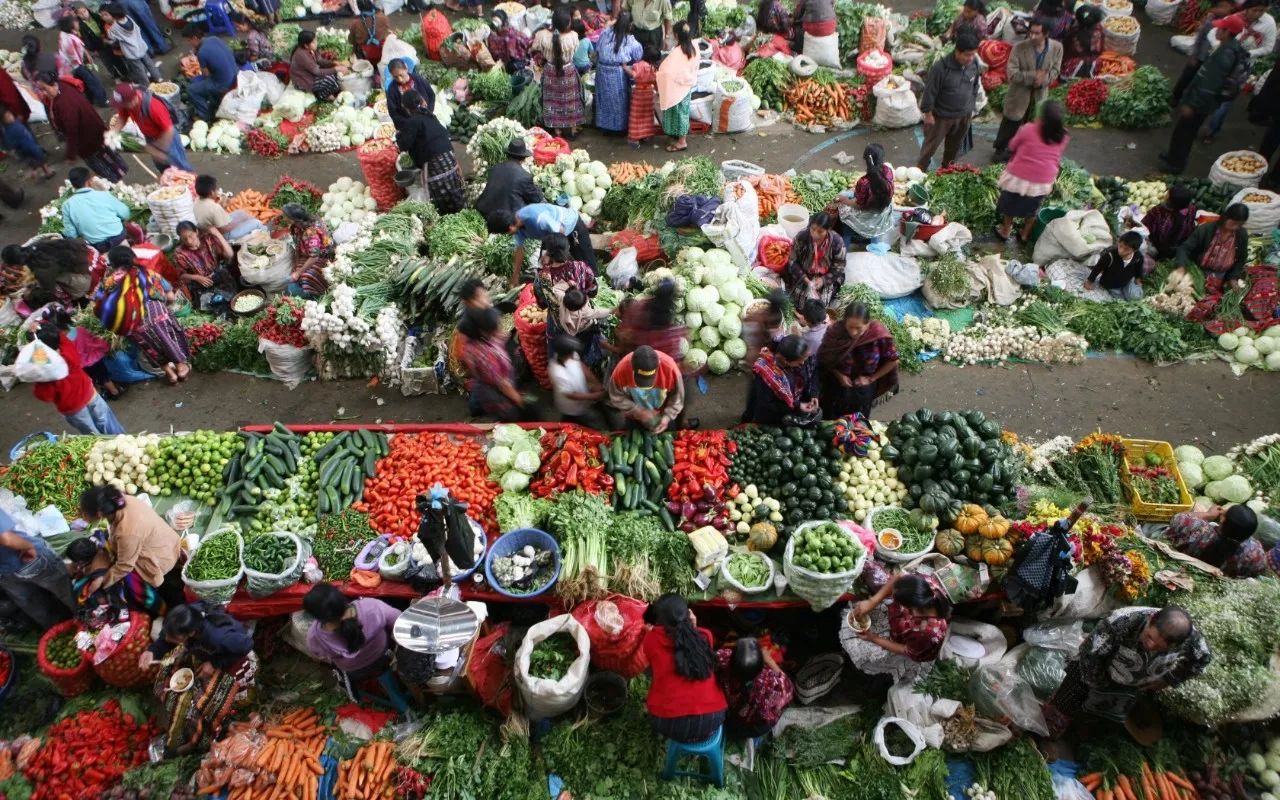 独行者一个人旅行 (余生我只想寻一处僻静之地)