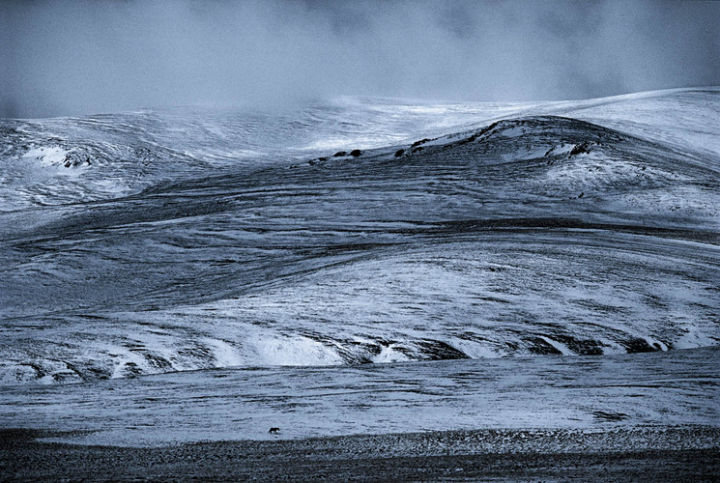 大三元第一个镜头应该入手哪一个,拥有大三元还有必要买镜头吗