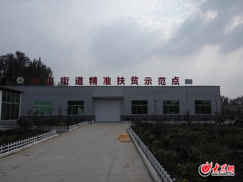 临沭杞柳编织,临沭柳编助力乡村振兴