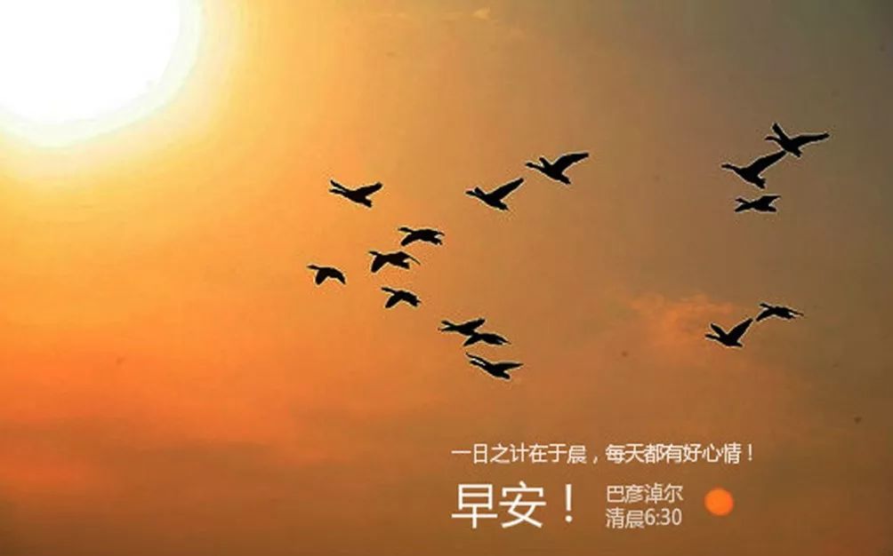 鸿雁知天下最新新闻,鸿雁知天下完整版