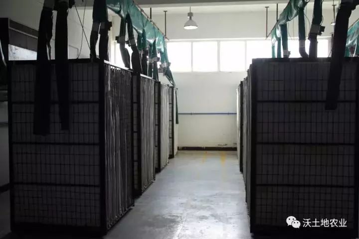 有机肥增重,通用型有机肥与专用有机肥哪个好