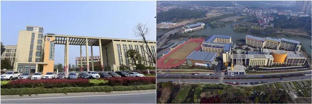 “国际滨欢迎您最佳组织奖暨空中看美丽学校”大赛开始了！